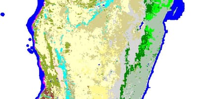 Mapa de vegetação Madagascar